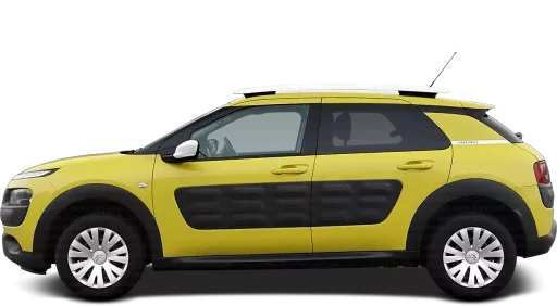  C4 Cactus