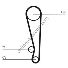 CONTITECH CT 1024 | JAPON MAZDA 323 TRIGER KAYISI