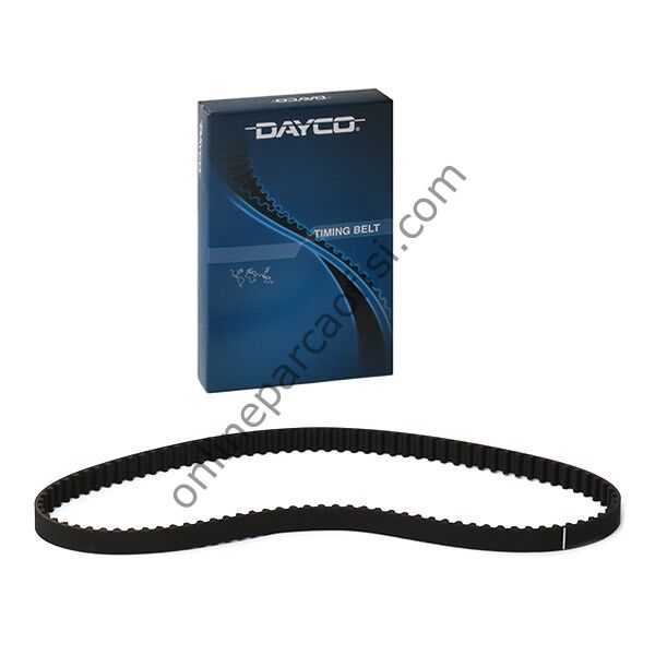 DAYCO 100RP170H | PSA 106/206/C2/C3 TRIGER KAYISI