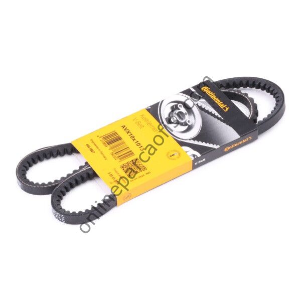 CONTITECH C 10X1013 | BMW E30 V KAYISI