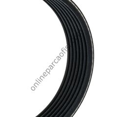 DAYCO KPV098 | FIAT DUCATO III - DAILY IV V KAYIS SETI