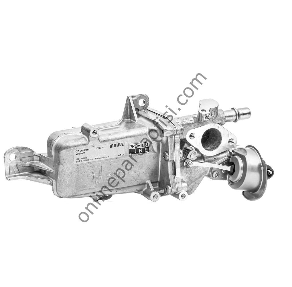 BEHR CE 36 000P | RENAULT MASTER III EGR VALFI