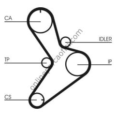 CONTITECH CT 1038K1 | FIAT MASTER TRAFIC DUCATI DAILY TRIGER SETI