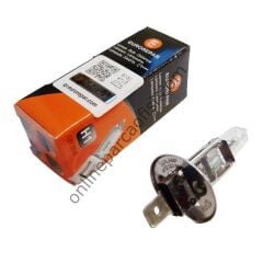 EUROREPAR 1616430880 | OPEL TÜM MODELLER ERP AMPUL H1 12V-55W