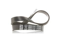 DAYCO 5PK705EE | FORD FOCUS V KAYISI