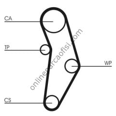 CONTITECH CT 1049 | FIAT BRAVO II/PALIO/LINEA/PUNTO/500 TRIGER KAYISI