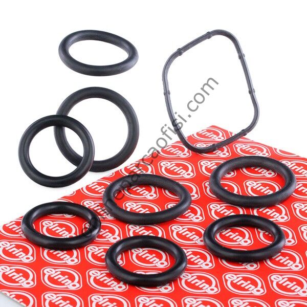 ELRING 429.040 | FORD FOCUS/307/407 MANIFOLD CONTASI EMME