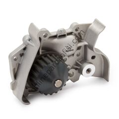 DAYCO KTBWP2590 | RENAULT CLIO/KANGO/MEGAN/SOLENZA TRIGER SETI+DEVIRDAIM