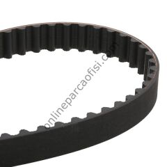 CONTITECH CT 1067 | PSA 206/307 TRIGER KAYISI