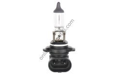 BOSCH BCH 1987302083 | UNI AMPÜL