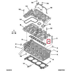 PSA 0249.E3 | YAN CONTA
