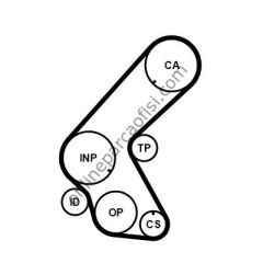 CONTITECH CT 1078 | JAPON CIVIC VII TRIGER KAYISI