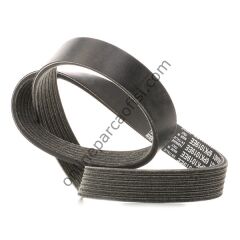 DAYCO 6PK1019EE | FORD FIESTA/FUSION V KAYISI