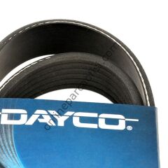 DAYCO 6PK1035 | PSA 301 V KAYISI