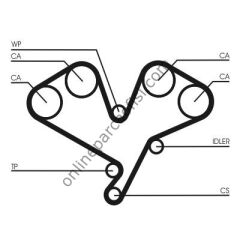 CONTITECH CT 1113 | JAPON PAJERO (V2, V4) TRIGER KAYISI