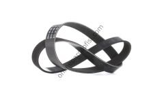 DAYCO 6PK1087 | FIAT FIAT/WV V KAYISI