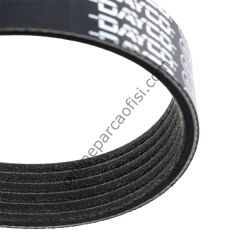 DAYCO 6PK1090EE | PSA 206/207/307/C4 V KAYISI