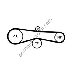 CONTITECH CT 1131 | VW A4-A6-TOUAREG TRIGER KAYISI