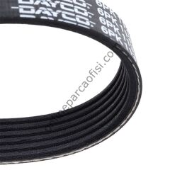 DAYCO 6PK1137 | RENAULT MEGAN/BRAVO/MAREA V KAYISI