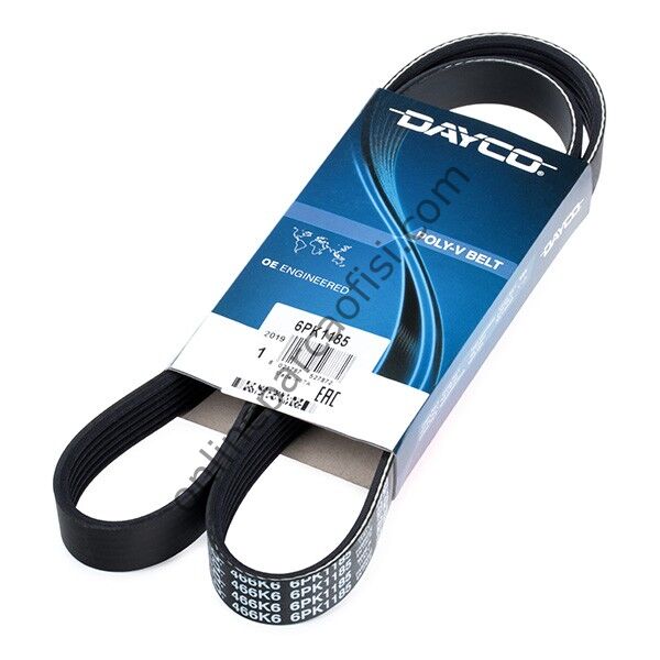 DAYCO 6PK1185 | RENAULT KANGO/MEGAN I V KAYISI