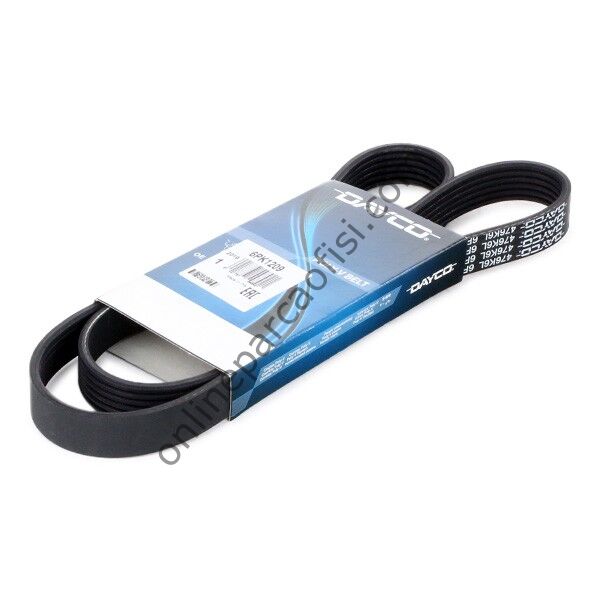 DAYCO 6PK1209 | RENAULT CLIO II/KANGO : YARIS (P9) 1.0 06-08 V KAYISI