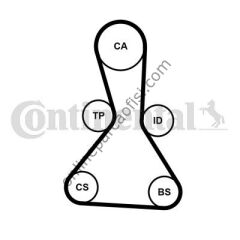 CONTITECH CT 1159 | JAPON GREAT WALL TRIGER KAYISI