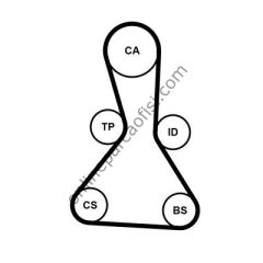 CONTITECH CT 1159K1 | BMW BM TRIGER KAYISI