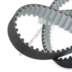 DAYCO KTB282 | FORD TRANSIT M12-M15 TRIGER SETI