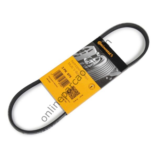 CONTITECH C 3PK 675 | FORD ESCORT V KAYISI