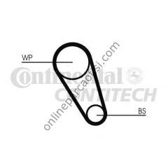 CONTITECH CT 1169 | VW GOLF7-A3 TRIGER KAYISI