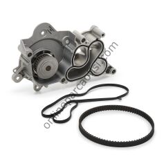 CONTITECH CT 1169 | VW GOLF7-A3 TRIGER KAYISI