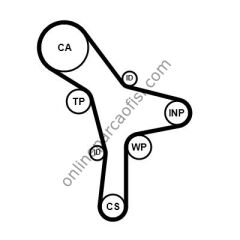 CONTITECH CT 1176 | KORE TERRACAN/SANTAFE TRIGER KAYISI