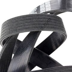 DAYCO 6PK1323S | FIAT LINEA/FIORINA/PUNTO/EGEA V KAYISI