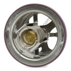 BEHR-T THD289 | VW CAYENNE TERMOSTAT