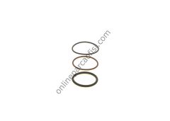 BOSCH F00VX99892 | AV ENJEKTÖR ORING TAKIMI