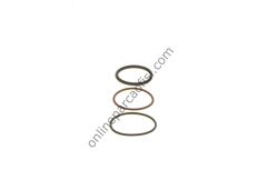 BOSCH F00VX99892 | AV ENJEKTÖR ORING TAKIMI