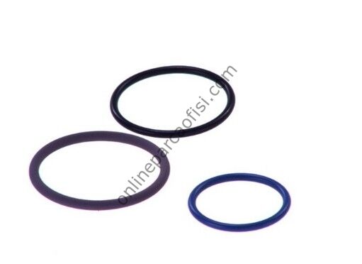 BOSCH F00VX99999 | AV ENJEKTÖR ORING TAKIMI