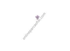 BOSCH F00ZB20001 | AV BASINÇ IGNESI