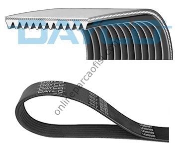DAYCO 11PK1890HD | AV ACTROS, ACTROS MP2 / MP3 V KAYISI