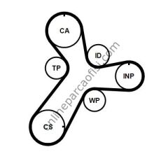 CONTITECH CT 1237WP1 | KORE SPORTAGE-CEED-OPTIMA-STONIC-TUCSON-KONA-I40-I30 TRIGER SETI