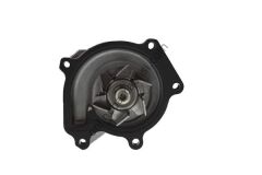 AISIN WPT-117 | JAPON TERIOS : SIRION 1.3 01- YRV 01-05 DEVIRDAIM