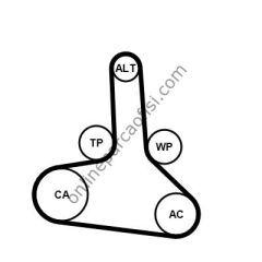 CONTITECH CT 1245 | OPEL ASTRA K TRIGER KAYISI