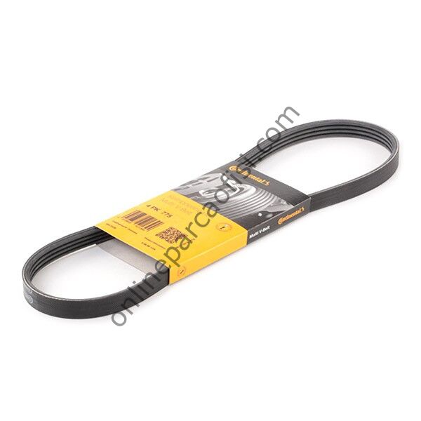 CONTITECH C 4PK 775 | JAPON CARISMA (DA) V KAYISI