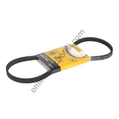 CONTITECH C 4PK 815 | JAPON HONDA V KAYISI