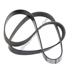 DAYCO 6PK1580S | FIAT ALFA V KAYISI