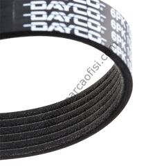 DAYCO 6PK1580S | FIAT ALFA V KAYISI