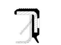 CORTECO 82029611 | RENAULT CLIO/KANGO/TWINGO KRANK KEÇESI ARKA