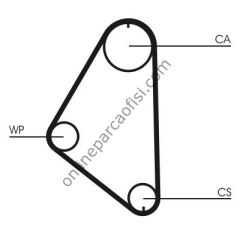 CONTITECH CT 558 | OPEL ASTRA F CORSA A KADETT TRIGER KAYISI
