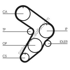 CONTITECH CT 577 | FIAT REGATA TRIGER KAYISI