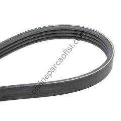 CONTITECH C 4PK 890 | JAPON 323 (BG) V KAYISI